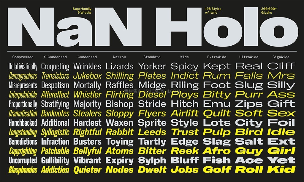 NaN Holo SuperFamily v3.0 庞大超级西文字体家族